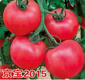 京宝2015