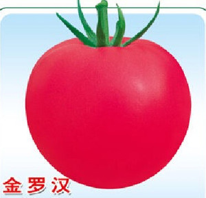 金罗汉